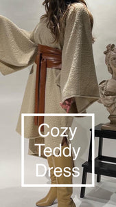 Beige Cozy Teddy Dress