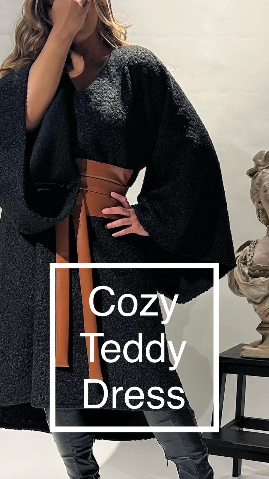 Black Cozy Teddy Dress